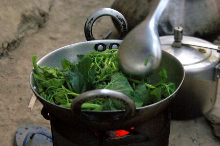 Chitwan national park eat photo