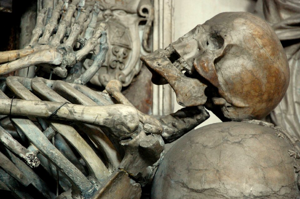 Memento mori skull bone