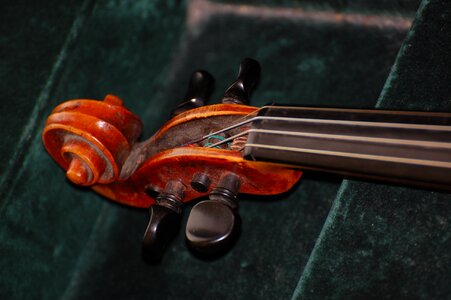 Snail violin musical instrument photo