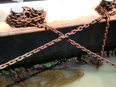 Steel rust seaweed photo