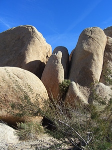 Mojave desert jumbo rocks giant rocks photo