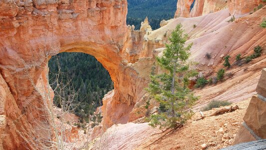 Utah usa national park