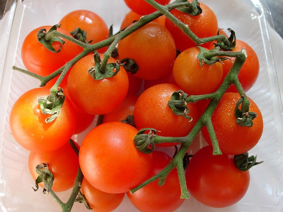 Fresh healthy vegetarian