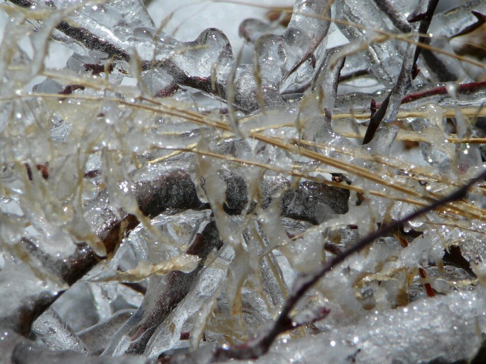 Winter freeze frost