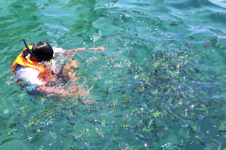 Thailand fish paradise