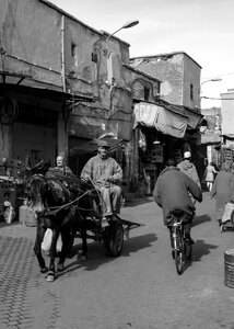 Marrakech travel africa photo