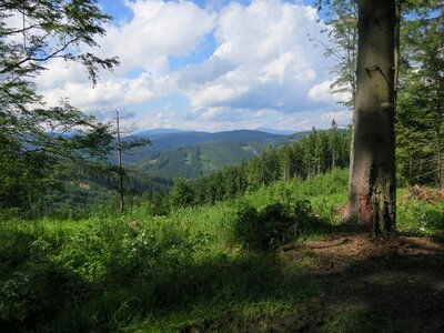 Heaven nature view