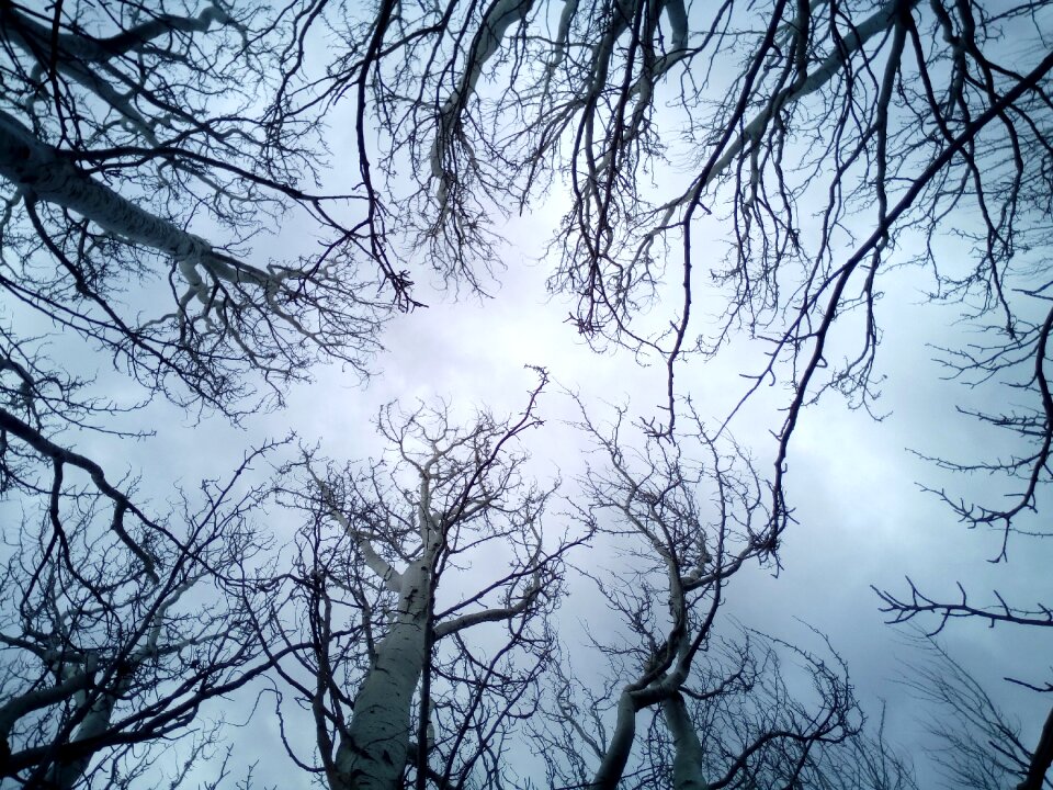 Winter blue grey