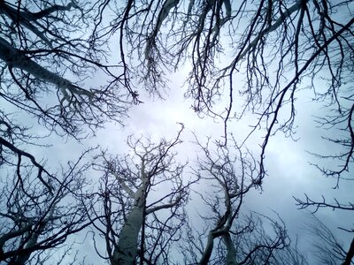 Winter blue grey