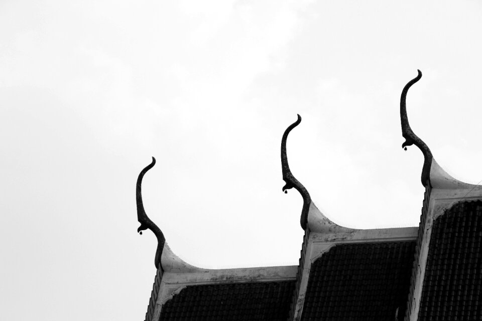 Roof asia palace
