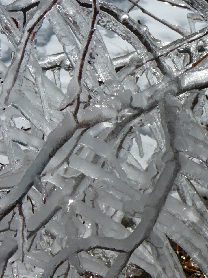 Cold frozen nature