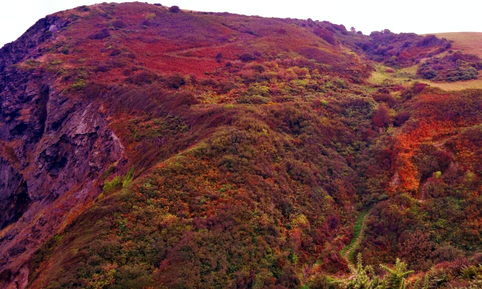 Scenic nature natural
