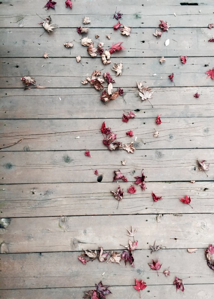 Leaves wood terrace