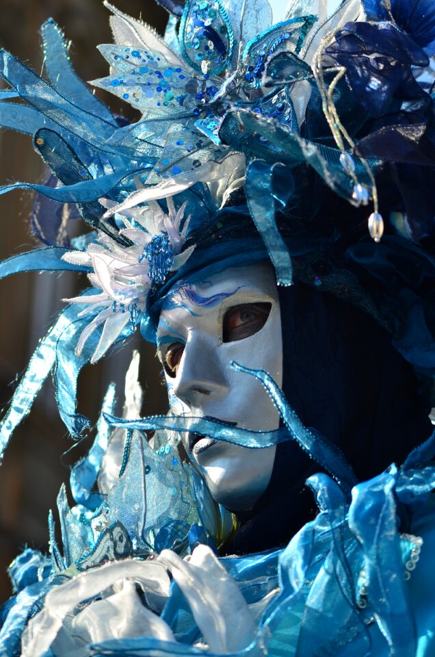 Costume mask panel