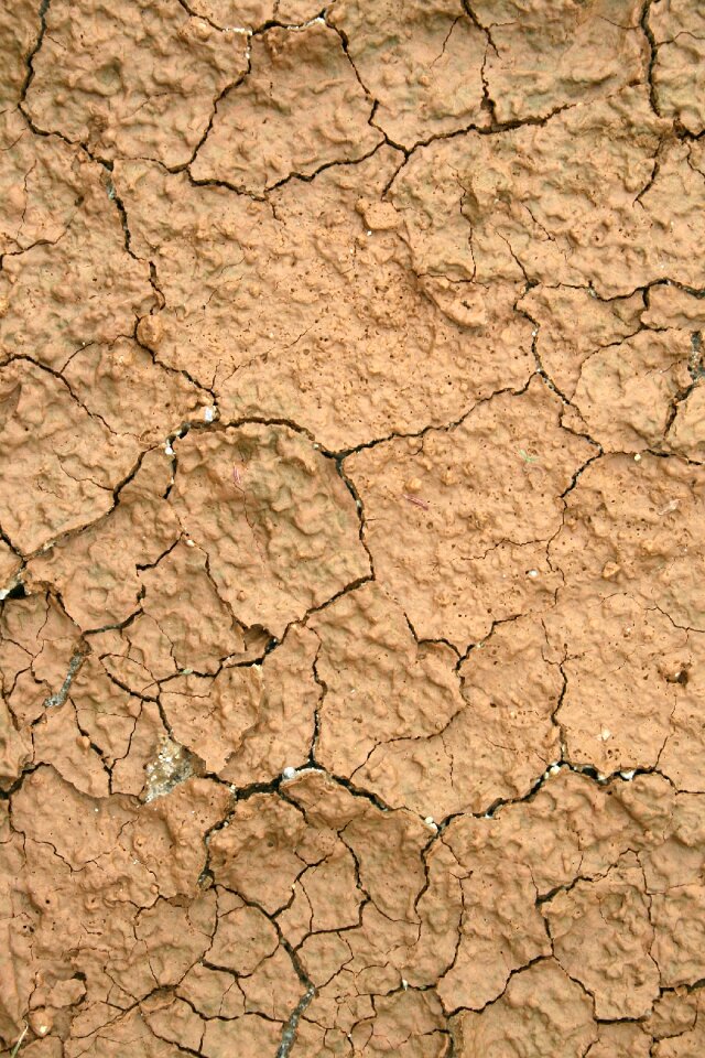 Dry drought the luxury cruise ship