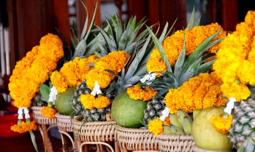 Exotic delicious market