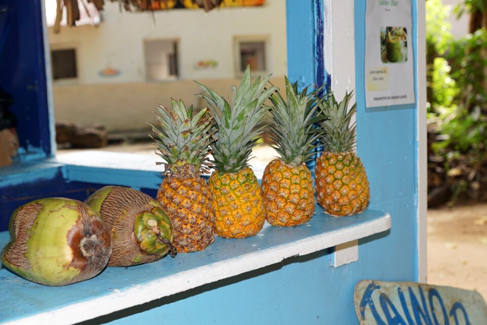 Island caribbean eat