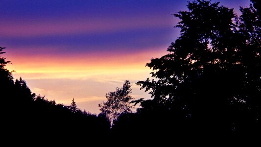 Dawn romance nature