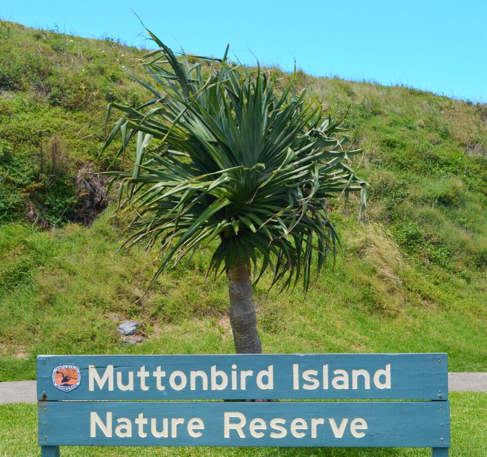 Nature reserve green island