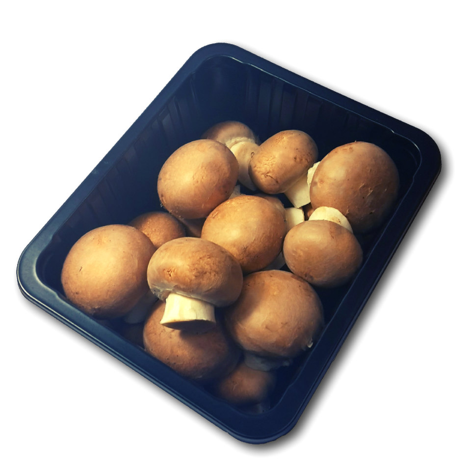 Mushrooms brown food