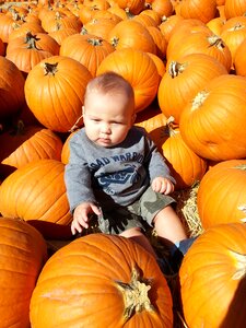 Child halloween pumpkin patch photo