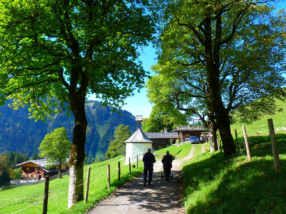 Walk chapel trees