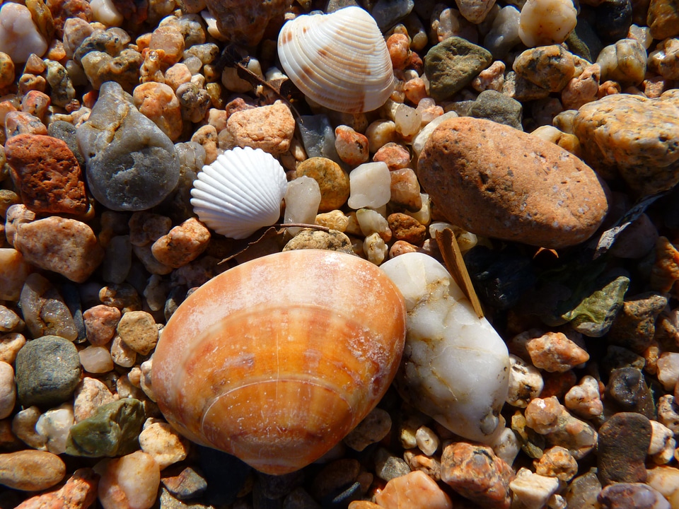 Beach sand stones