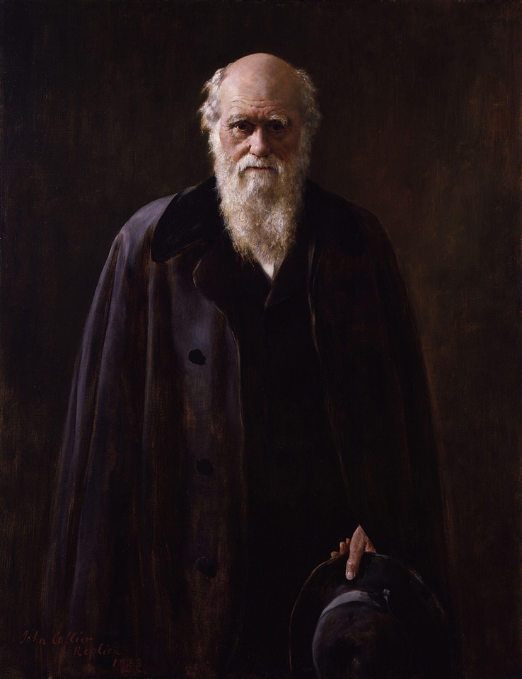 Theory of evolution painting 1883