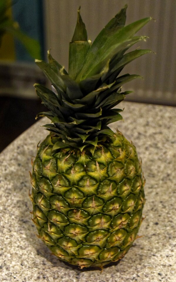 Healthy fresh fruit sweet