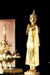 Meditation buddhism thailand
