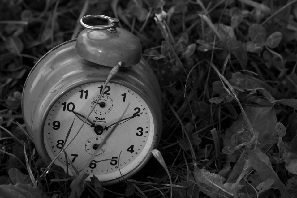 Nature deadline time