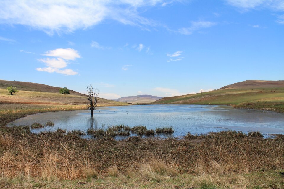 Countryside ecology