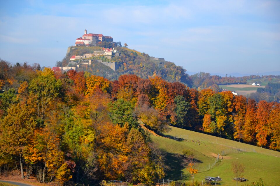 Forest riegersburg landscape