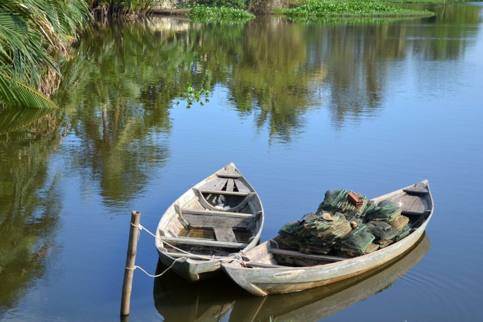 Lake palm trees fisherman