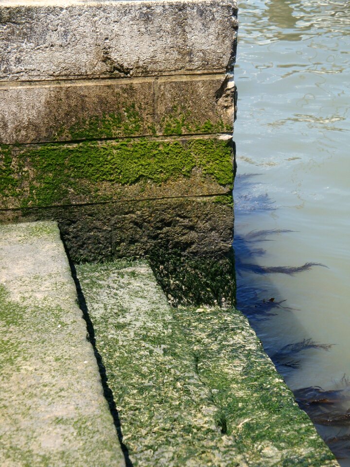 Italy moss green