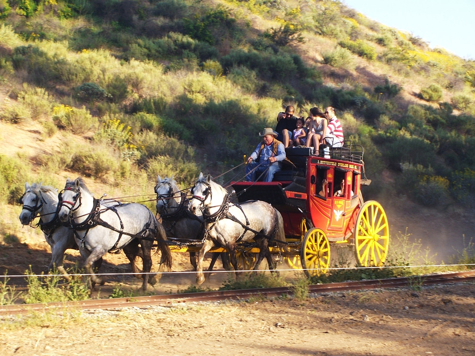 Horses coach wells fargo