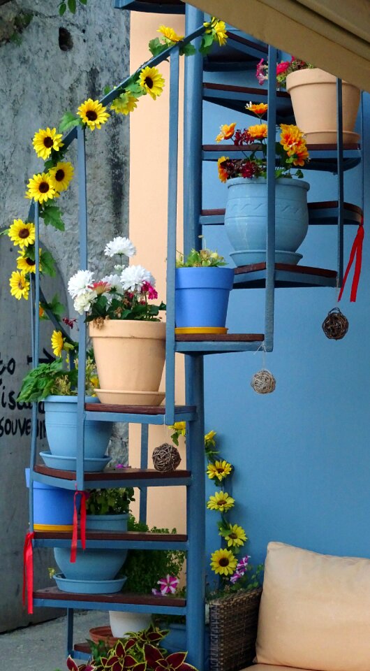 Blue yellow sunflowers