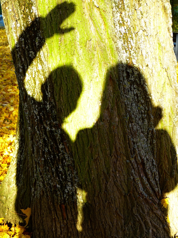 Outline light shadow play