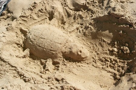 Shaped sand sun
