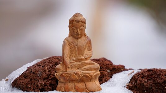 Buddha statue adoration photo