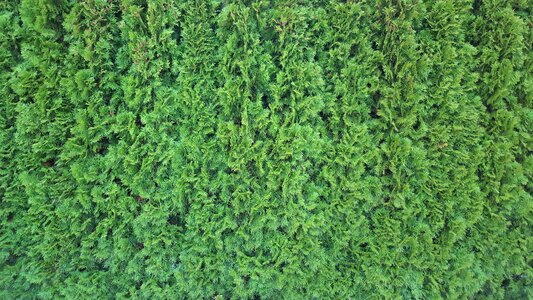 Pattern structure bush