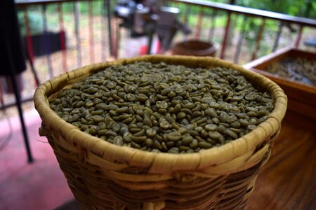 Grain coffee grains colombia