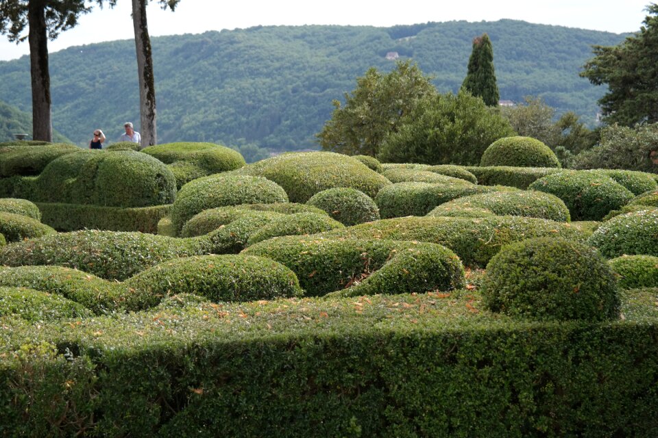 Park flower garden