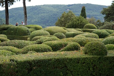 Park flower garden