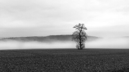 Landscape nature autumn photo