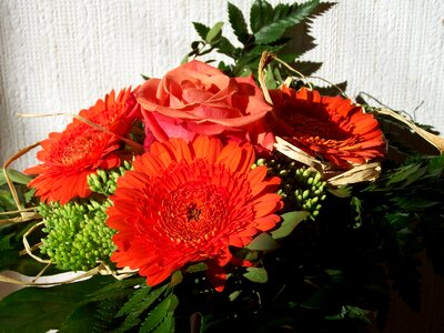 Flower bouquet red gerbera cut flower