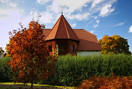 Leaves foliage color photo