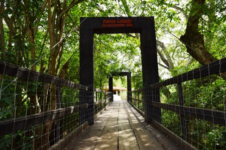 Cross wooden bridge nature