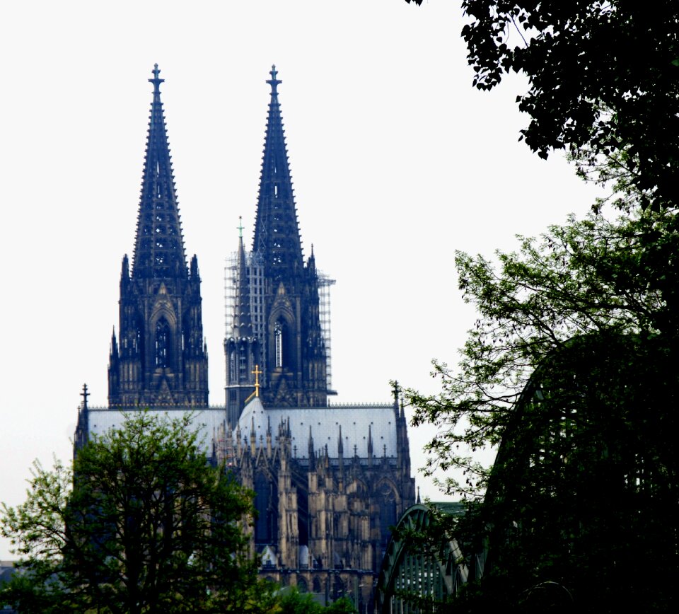 Towers trees cologne