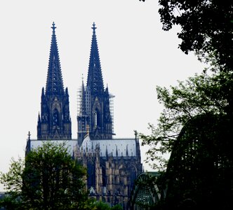 Towers trees cologne